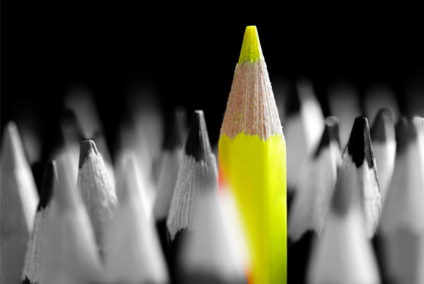 teach the key ingredients for leadership success daniel goleman